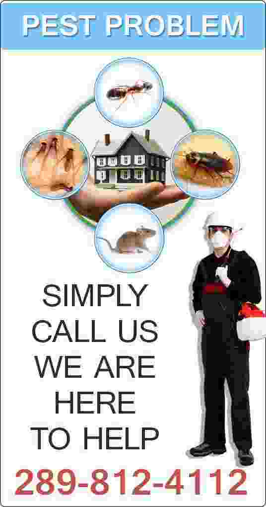 Pest Control & Extermination in Burlington, Oakville & Hamilton