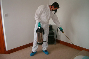 Pest Extermination Services