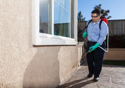 The Most Common Pest Control Mistakes Homeowners Make