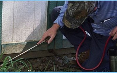 Technician spraying a home foundation to control common summer pests in Burlington