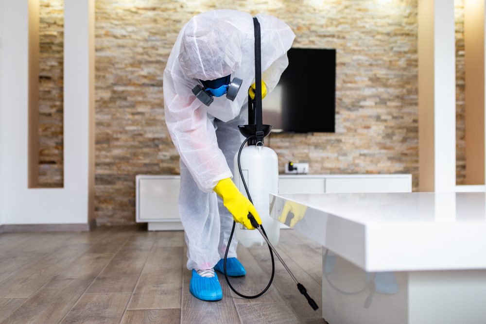 Pest control technician treating a home in Halton Region — Burlington, Oakville and Milton